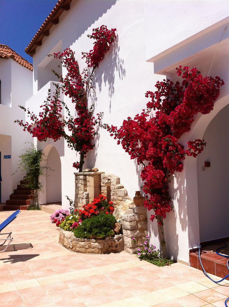 Iliana Apartments Georgioupoli Exterior foto